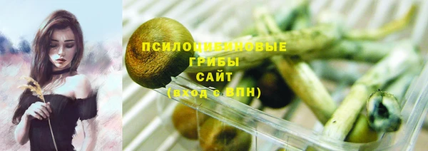 ешки Армянск