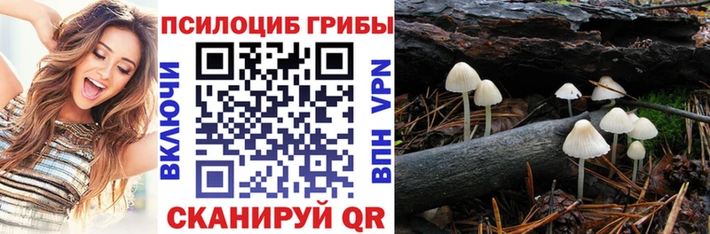 Галлюциногенные грибы Cubensis мега ссылки Белово